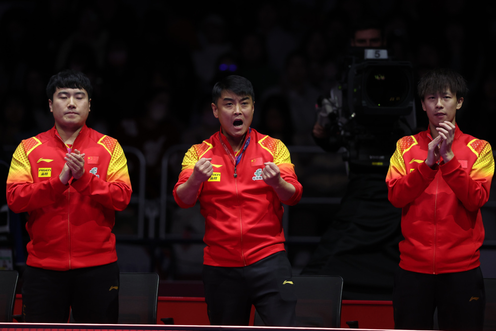 法国队横扫奥地利队，王皓带队取胜