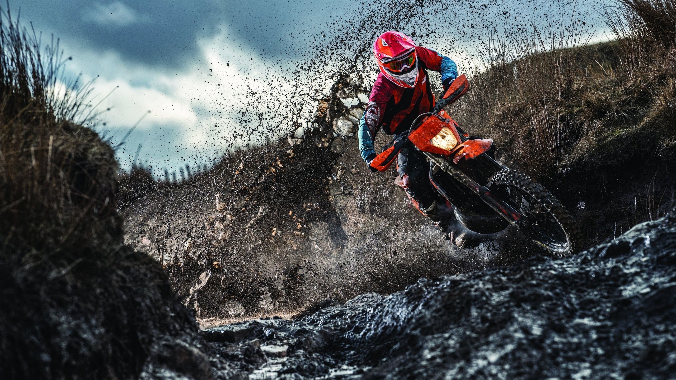 极速狂飙与铁血对决,当F1的精密遇上篮球的野性